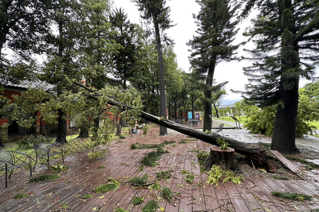 台南文化場館遭風災 水道博物館樹倒約130棵 | 華視新聞