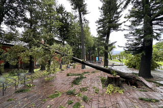 台南文化場館遭風災 水道博物館樹倒約130棵