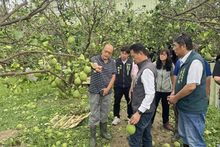台南農漁業風災損害 立委林俊憲爭取救助免現勘