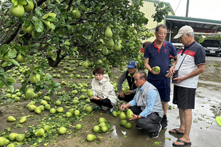 颱風丹娜絲重創台南 陳亭妃盼速啟動農損救助