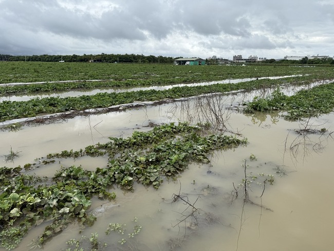 高市成功爭取颱風農損救助 7/9起受理申報 | 華視新聞