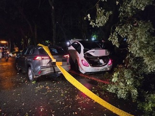 北市運將疑下車休息遭撞不治 肇事賓士車駕駛逃逸