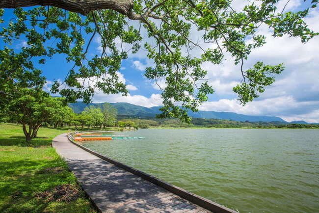 鹿野池上郵輪式公車上路  串聯台東縱谷景點 | 華視新聞