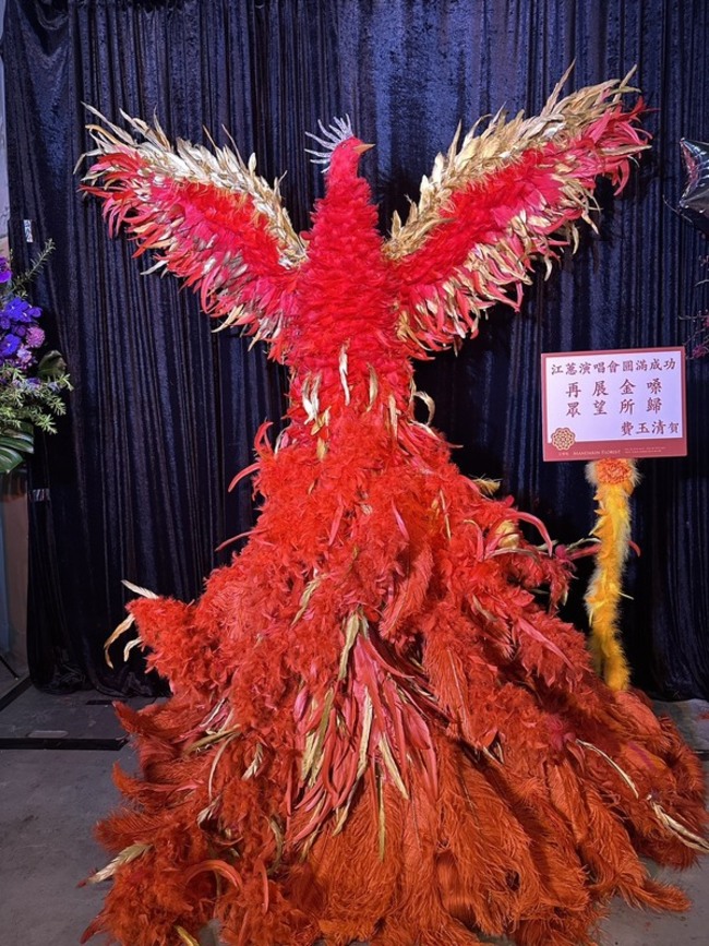 二姐江蕙回歸演唱會高雄登場 費玉清贈大鳳凰祝福 | 華視新聞