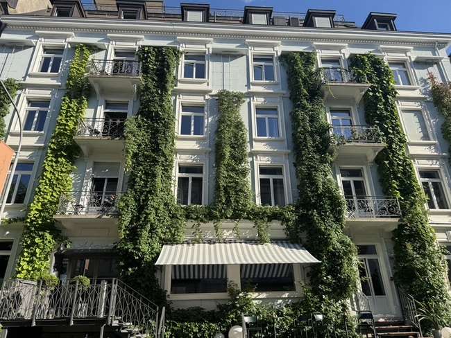 熱浪天數創新高 瑞士城市試以天然方式降溫 | 華視新聞