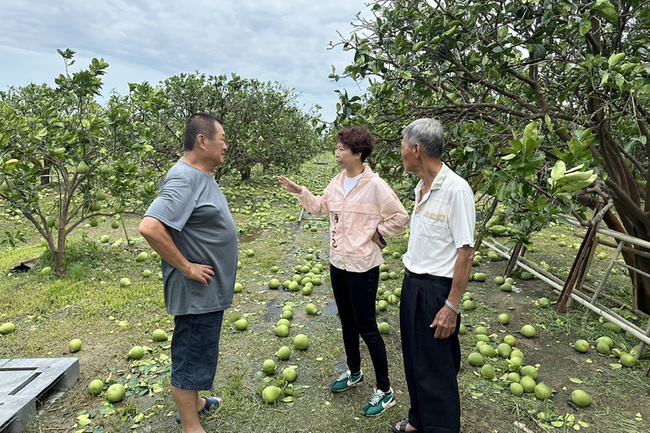 颱風重創台南農漁業  陳亭妃籲天災貸款首年免息 | 華視新聞