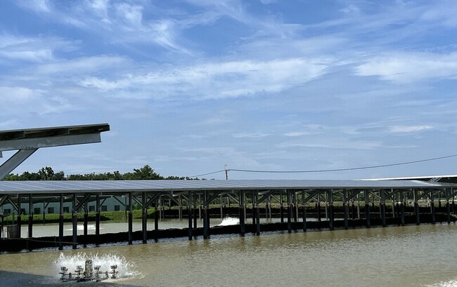 高市阿蓮區漁電共生　發電與養殖相輔相成 | 華視新聞