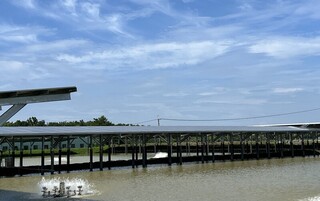 高市阿蓮區漁電共生　發電與養殖相輔相成