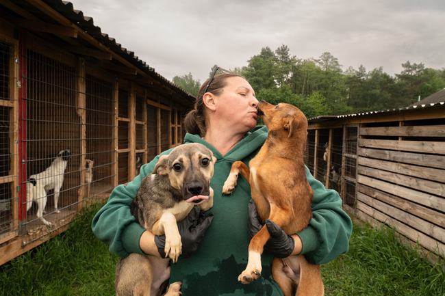 烏志工攜300毛孩撤離：我的家毀了  但不能拋下牠們 | 華視新聞