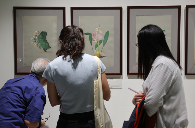 台、日接力  台灣蘭花百姿展史博館登場 | 華視新聞