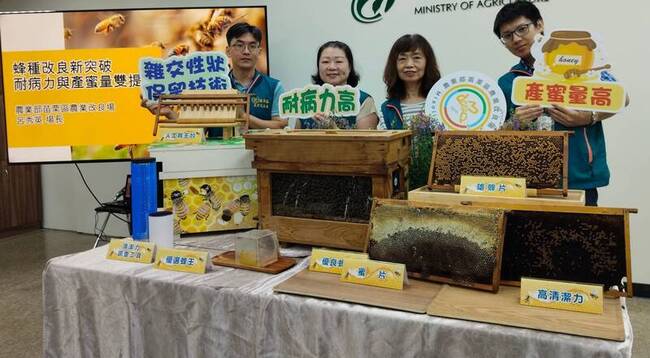 蜜蜂優生  苗栗農改場育成高產蜜耐病蜂種 | 華視新聞