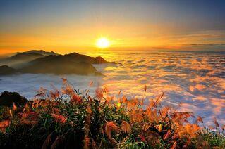 夏季旅展18日登場　觀光署雙展館秀台灣亮點