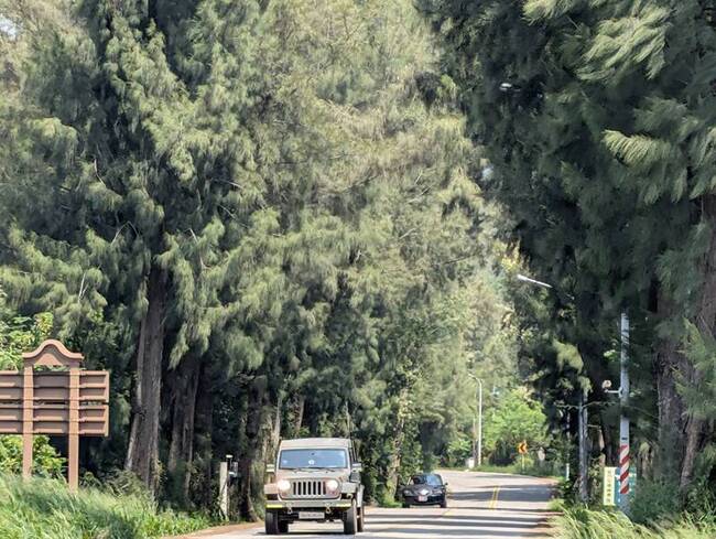 議員憂道路拓寬影響水獺生存 金縣府：審慎評估 | 華視新聞