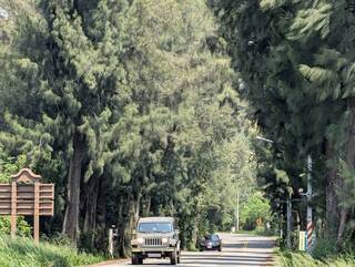 議員憂道路拓寬影響水獺生存 金縣府：審慎評估