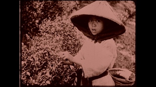 百年前台灣影像免費上架YT  福爾摩沙記錄台灣之美