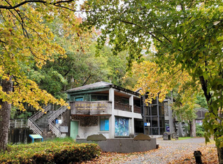 生態中心角逐觀光亮點獎　雪管處號召相挺國寶魚