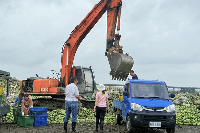 台南文旦柚受颱風影響落果嚴重  清運近2萬公噸 | 華視新聞