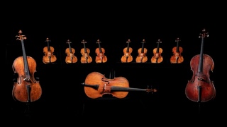 奇美音樂節首集結11把法國名琴  展現經典法式樂章