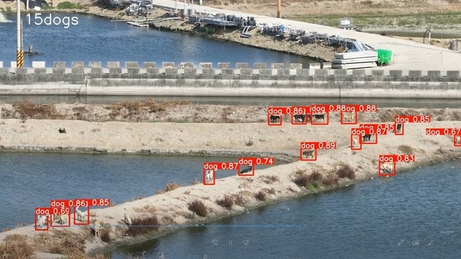 嘉縣義竹試辦AI地空整合捕犬  僅1週捉逾8成浪犬 | 華視新聞