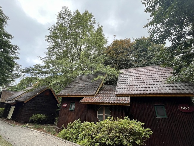 大雪山森林遊樂區20間小木屋整修畢  恢復住宿服務 | 華視新聞