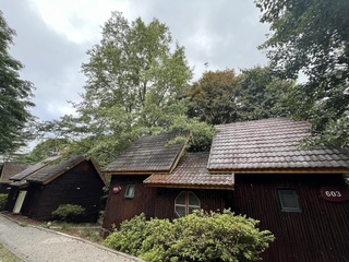 大雪山森林遊樂區20間小木屋整修畢  恢復住宿服務