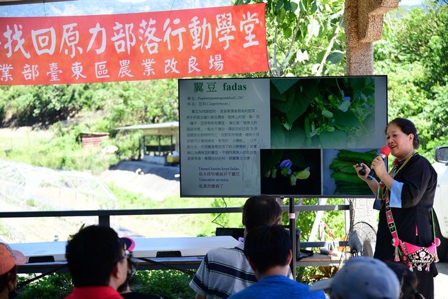 部落新生機  台東農改場協助打造翼豆示範農場 | 華視新聞