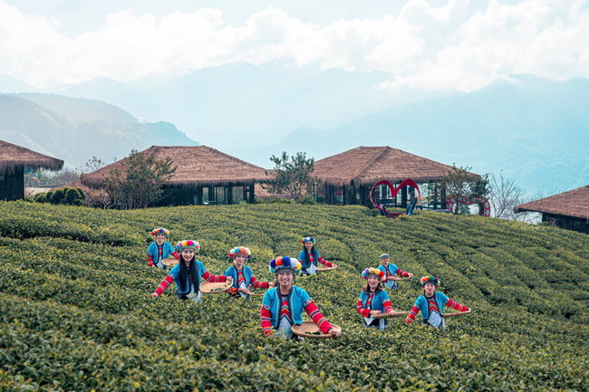 嘉義山區災後復原  縣府推薦阿里山親子自駕遊程 | 華視新聞