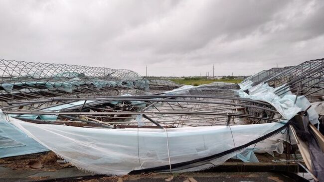 颱風毀8成嘉縣溫網室重建路漫漫　動員全台業者支援 | 華視新聞