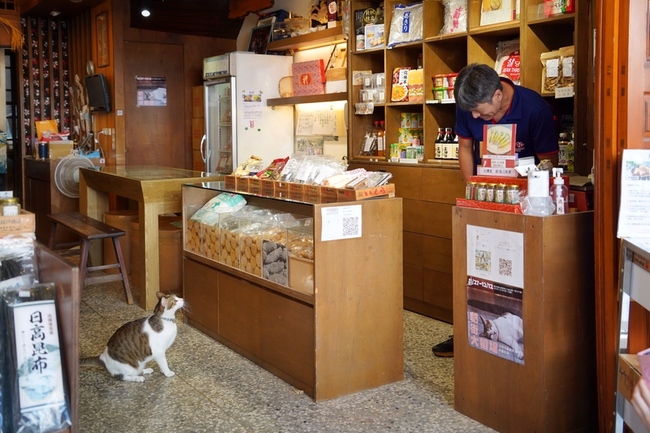 貓派攝影比賽徵件　大稻埕貓店長成宣傳大使 | 華視新聞