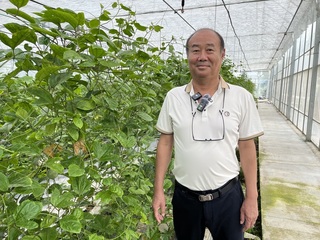 上海崇明台商紮營　台灣精緻農業精神在地發芽