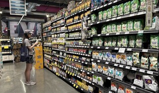 美經濟學家：若關稅政策不變  2026將是通膨高峰