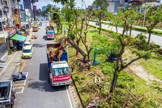 嘉市36處公園7月底完成清運　將打造韌性都市
