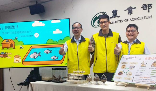 水試所養出含魚油黑水虻　成水產飼料新蛋白原料 | 華視新聞