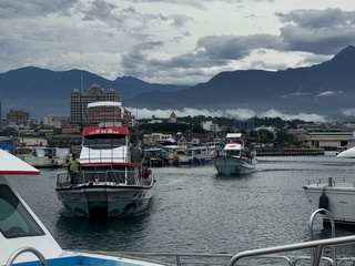 海嘯警報發布花蓮賞鯨船照出海  遊客：沒感覺浪大