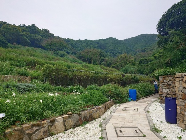 南竿閒置農地種金銀花推出商品　盼成馬祖新特色 | 華視新聞