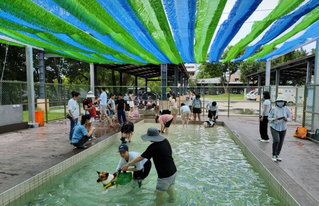 桃園打造全台首座公立寵物戲水池　8月啟用