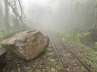 阿里山林業鐵路本線  落石、倒木影響持續停駛