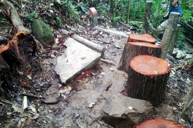 嘉市熱門蘭潭後山步道延後開放  8/15再評估 | 華視新聞