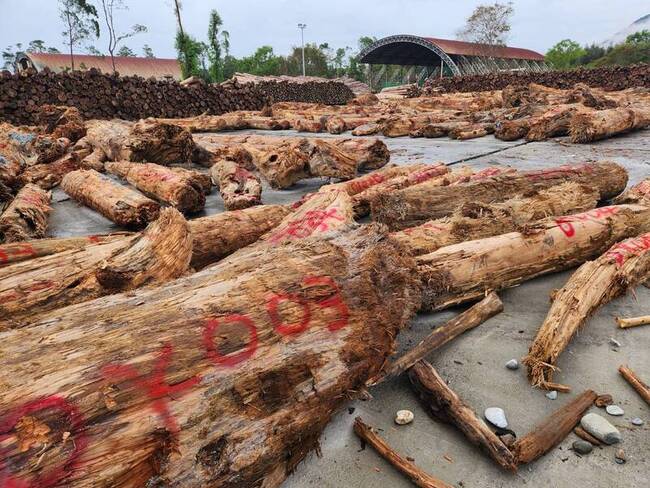 撿漂流木不再限尺寸 林保署:不具標售價值皆可 | 華視新聞