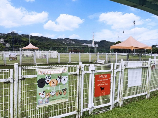 北市萬興狗活動區增設中型犬區  減少毛孩緊張感 | 華視新聞