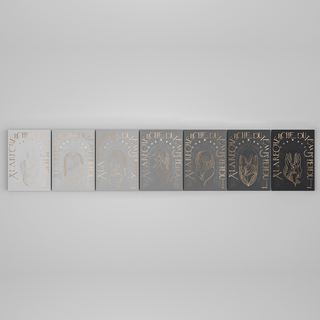 追憶似水年華台譯本出版 200萬字經典再現