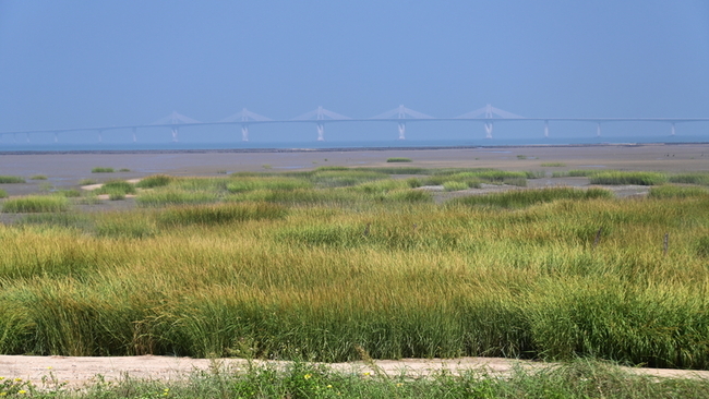 金門潮間帶環境惡化　攝影展盼喚起環境議題重視 | 華視新聞