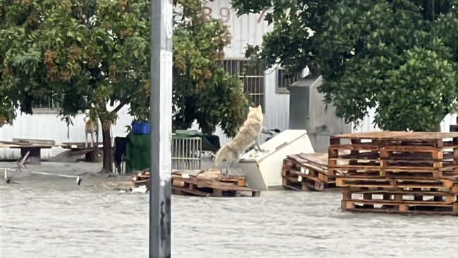 台東金崙溪潰堤 農莊一家7口提前撤離未釀傷亡 | 華視新聞