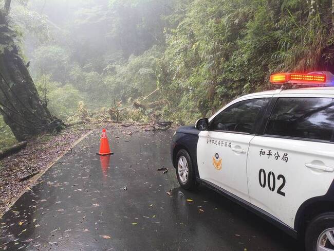 連日降雨影響　台中大雪山道路樹木倒塌阻斷交通 | 華視新聞