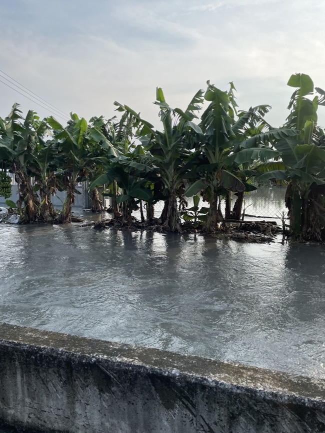 大雨重創彰化芭樂園　農民籲速整治卓乃潭排水 | 華視新聞