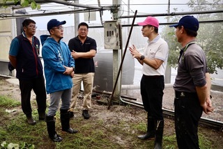 連日豪雨屏東農損逾9千萬　鳳梨香蕉最嚴重