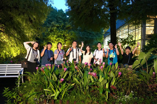 農村夜遊多變玩法　探秘境星空、賞蛙溯溪