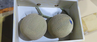 日本進口鮮蜜瓜農藥超標 遭邊境攔截