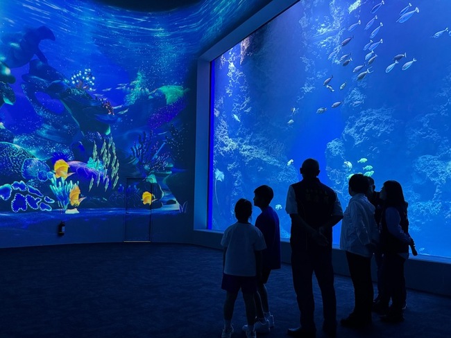 等待14年台中海洋館21日開幕　海線觀光新亮點 | 華視新聞