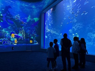 等待14年台中海洋館21日開幕　海線觀光新亮點